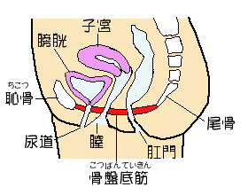 Ւ